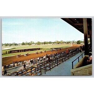 Postcard Kentucky Lexington Red Mile Horseracing and Gaming Harness Racing c1970
